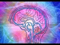 In-Depth Analysis of all 8 Cognitive Functions
