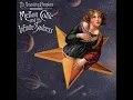 The Smashing Pumpkins Bullet With Butterfly Wings