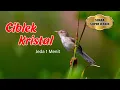 Download Lagu Ciblek Kristal || Masteran Ciblek Kristal Ngebren AK-47 Cocok Untuk Murai Batu || Jeda 1 Menit