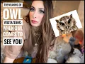 Meaning of owl totem visitations when owl comes to see you
