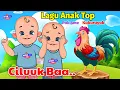 Download Lagu Lagu Anak - Cilukbaa, Kukuruyuk, Anak Kambing Saya, lagu ayamku kokkokkok dan lainnya