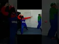 MARIO TRYNNA KILL LUIGI