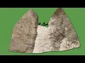 Bob Marley & The Wailers - Pimper's Paradise (Visualizer)