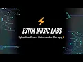 Download Lagu Ephedrine Rush - Estim Audio Therapy