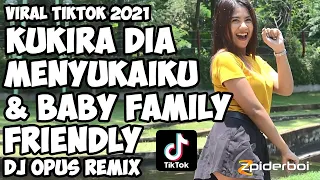 Download Kukira Dia Menyukaiku and Baby Family Friendly Mashup DJ Opus Remix TikTok 2021 MP3