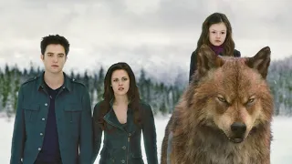 المعركة الأخيرة بين المستذئبين وعائلة كولين وملوك مصاصين الدماء ملخص الجزء الرابع والخامس Twilight 