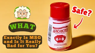 What Exactly Is MSG and Is It Really Bad for You The Flavor Villain or Hero