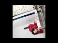 Lola Young - From Down Here (SLOWED + REVERB)