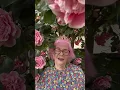 Download Lagu Tammy in Tiaras..Be Kind. Think first  #over60s #pets #mentalhealth#Kindness.