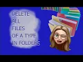 Python Utility to delete some type of files in all subfolders