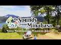 Download Lagu Oh Minahasa | Duo Kolintang Kayu | Dwiki Dharmawan - Ferdinand Soputan