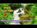 Lagu SUARA SIKATAN LONDO || MENGERIKAN ROL TEMBAKAN TAJAM MASTERAN MURAI BATU \u0026 BURUNG YANG LAINNYA !!!