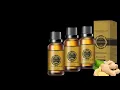 Ginger oil for reduce belly fat fast Aroma Ginger oil drainage belly fat