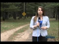 Four Dead In Oscoda County