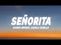 Download Lagu Shawn Mendes - Señorita | Lyrics 