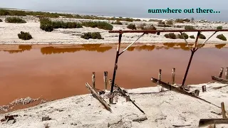 Desert Shores Of The Salton Sea Solo Roadtrip To California S Forgotten Coastline 