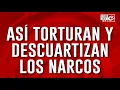 Tortura mutilacion y descuartizamiento el salvajismo narco que llego nuestro pais