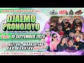 Download Lagu Live Jaranan Djalmo Pronojoyo L JHA AUDIO Bleton Warujayeng Nganjuk
