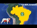 Download Lagu Tại sao Brazil  Mạnh nhất Nam Mỹ?