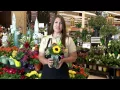 We re Your Hometown Store