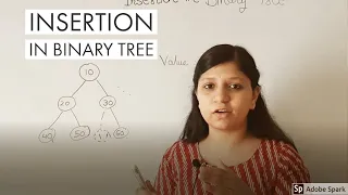 Insertion in binary tree Python Data Structure interview questions Chapter 7 - part 4