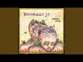 Dinosaur Jr. - The Lung (Live 1987)
