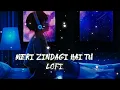 Meri Zindagi Hai Tu Lofi [ Slowed + Reverb ] - Jubin Nautiyal, Neeti Mohan | Feel The Song