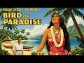 Download Lagu Bird Of Paradise | Watch the Full Romance Movie!