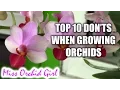 Download Lagu Top 10 DON'Ts when Growing Orchids - tips for orchid beginners