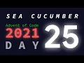 Merry Christmas Day Sea Cucumber Advent of Code 2021 Explanations