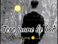 Lagu Ek aisi bhi wo ghadi thi kya jamana tha | (slowed + Reverb)song sad song 😔