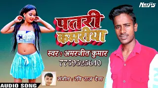 #Amarjeet Kumar || पतरी कमरीया || Patari Kamariya || Ravi Raj Deva || Bhojpuri New Song 2022