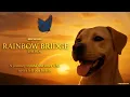 Rainbow Bridge - YouTube Premiere Full Film
