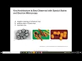 Biol 2115 Chapter 5 Viruses