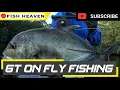 Download Lagu CARA MANCING FLY FISHING DI SUNGAI MANGROVE | FIELD TEST JACK'S VISION BLACK JACK FLY RODS | 2021