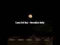 Download Lagu Lana Del Rey - Brooklyn Baby (slowed + reverb)