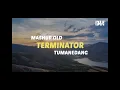 Download Lagu DJ Terminator X tumanedang mashup old