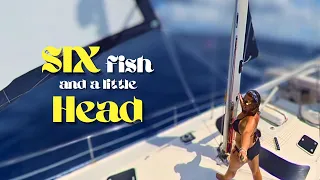 Fertile Waters: 6 Times Lucky ~ Sailing to St. Bart’s