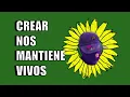 CNMV MUSIC SESSION #3: ANDRU - HOLA LOLA