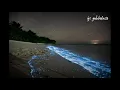 Download Lagu Yura Yunita - Malam Sepi (Lirik)