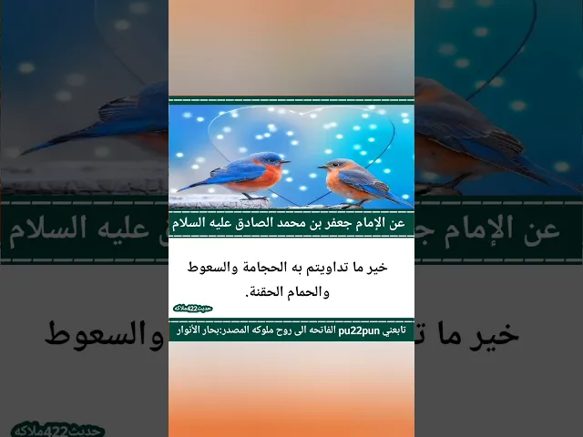 ⁣حديث اليوم ❤🙏✅
