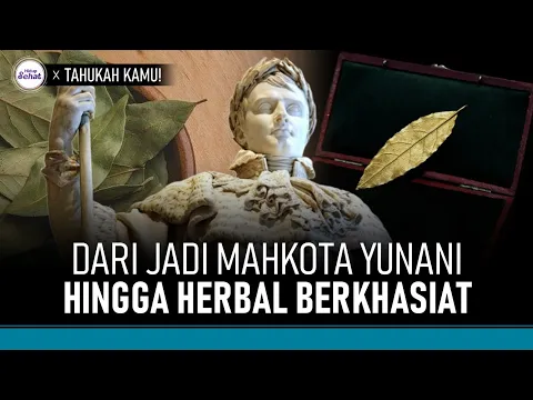 Sejarah dan Manfaat Daun Salam, Sudah Populer dari Zaman Romawi Kuno