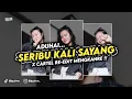 Download Lagu DJ ADUHAI ! SERIBU KALI SAYANG - IKLIM ( Epann Project Remix )