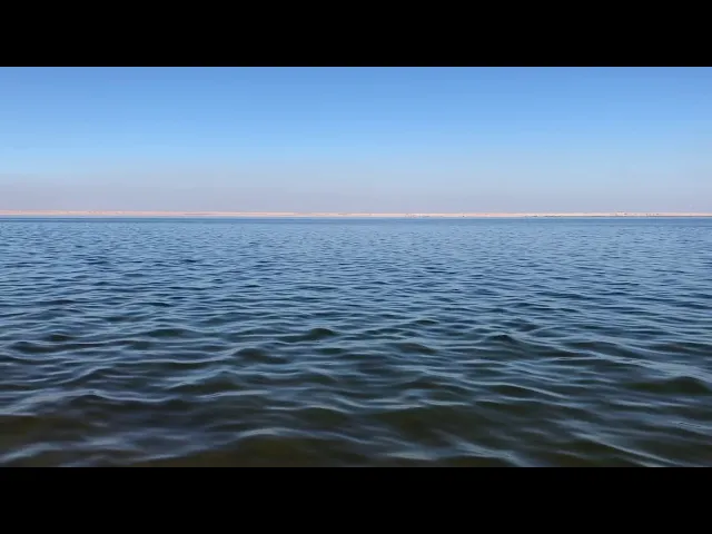 ⁣إبداع الخالق جل وعلا #بحر_النجف