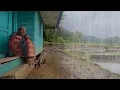 Download Lagu Suasana Syahdu Saat Hujan Mengguyur Kampung Cisangkal, Cihurip. Suasana Pedesaan Jawa Barat Garut