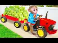 Download Lagu Monyet BonBon Imut Memetik Buah dan Memperbaiki Mobil di Jalan - BonBon Indonesia