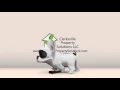 Pet Friendly Rent to Own Homes Clarksville TN Bad Credit OK Owner Financing Available