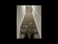 I Believe I Can GIF - EGDP