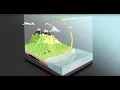 The carbon cycle