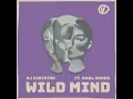 Wild Mind feat. Amal Nemer